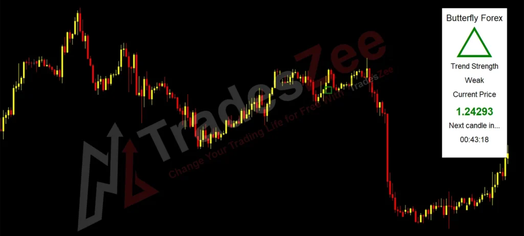 Butterfly Forex indicator System1