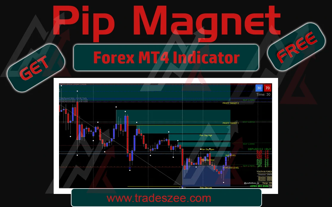 Pip Magnet Support and Resistance MT4 Forex Indicator  – Free Download