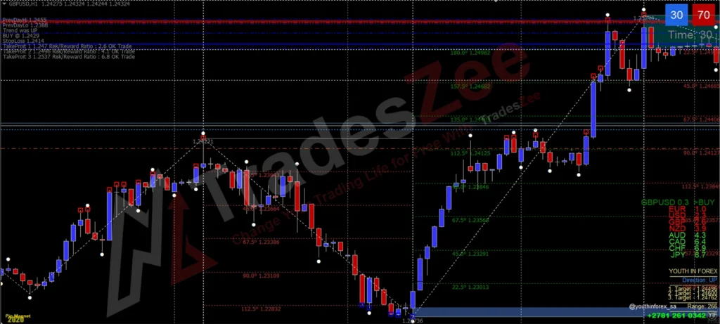 Pip Magnet trading System